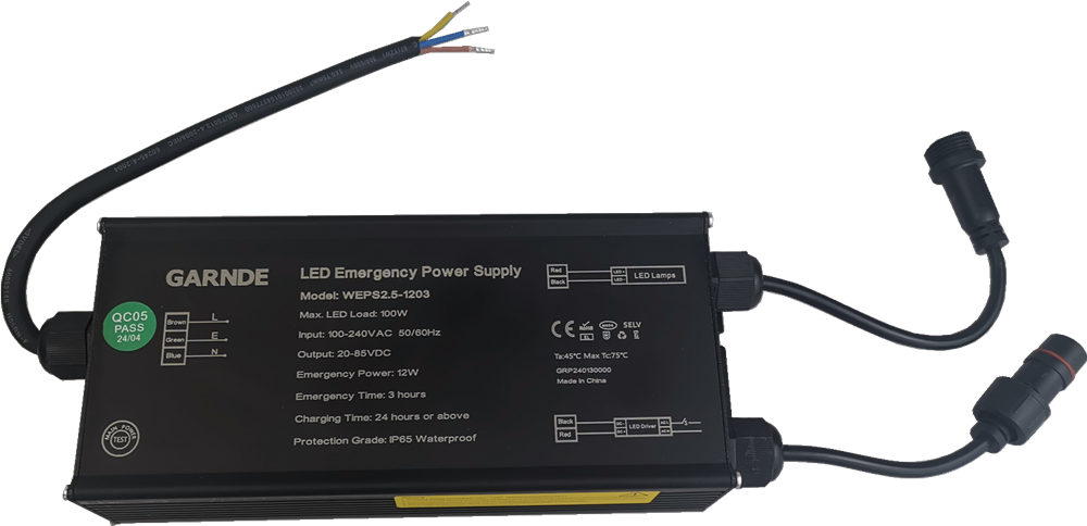 WEPS series LED Emergency Power Supply